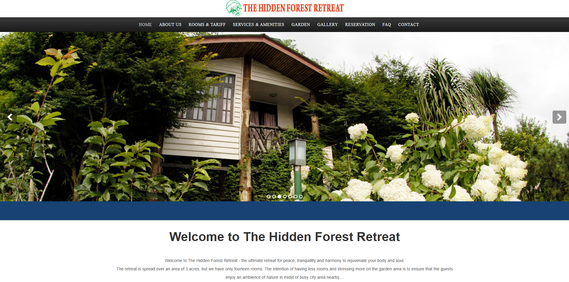 Web Design 1